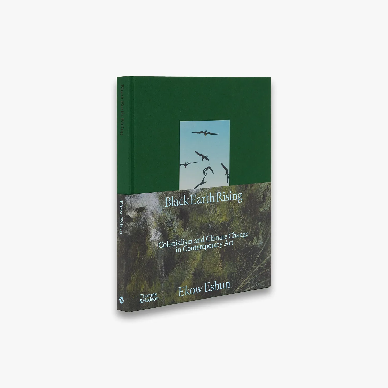 Thames & Hudson Black Earth Rising bog samtidskunst klima