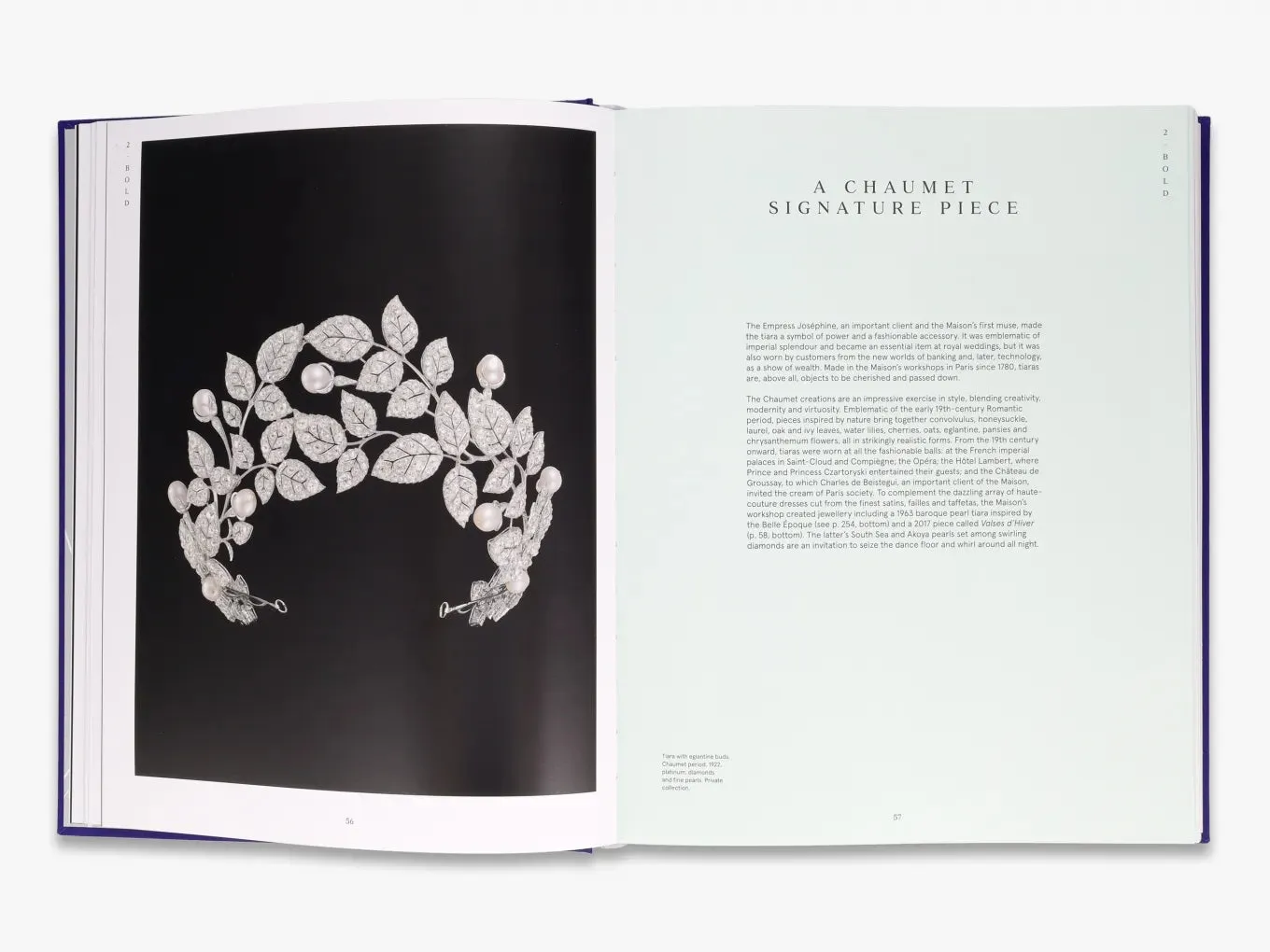 Thames & Hudson The Spirit of Chaumet bog om smykkekunst
