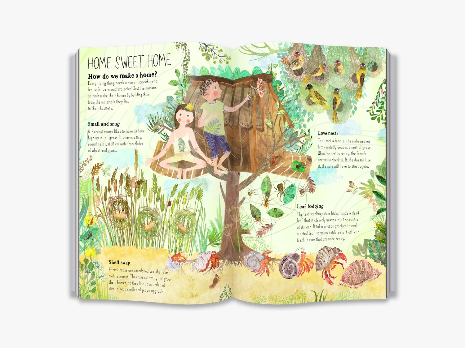 The Big Book series Big Book of Belonging børnebog natur illustreret