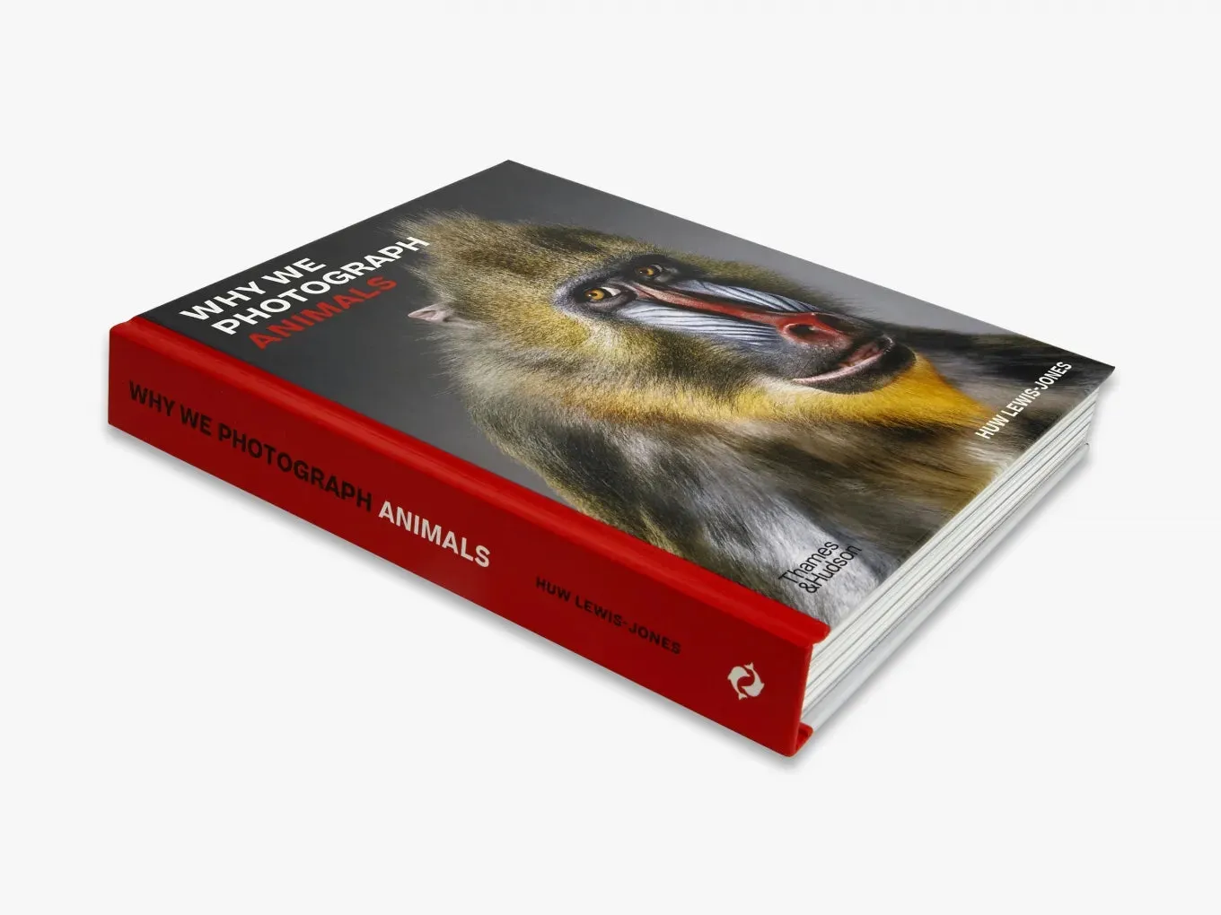 Thames & Hudson Why We Photograph Animals fotobog
