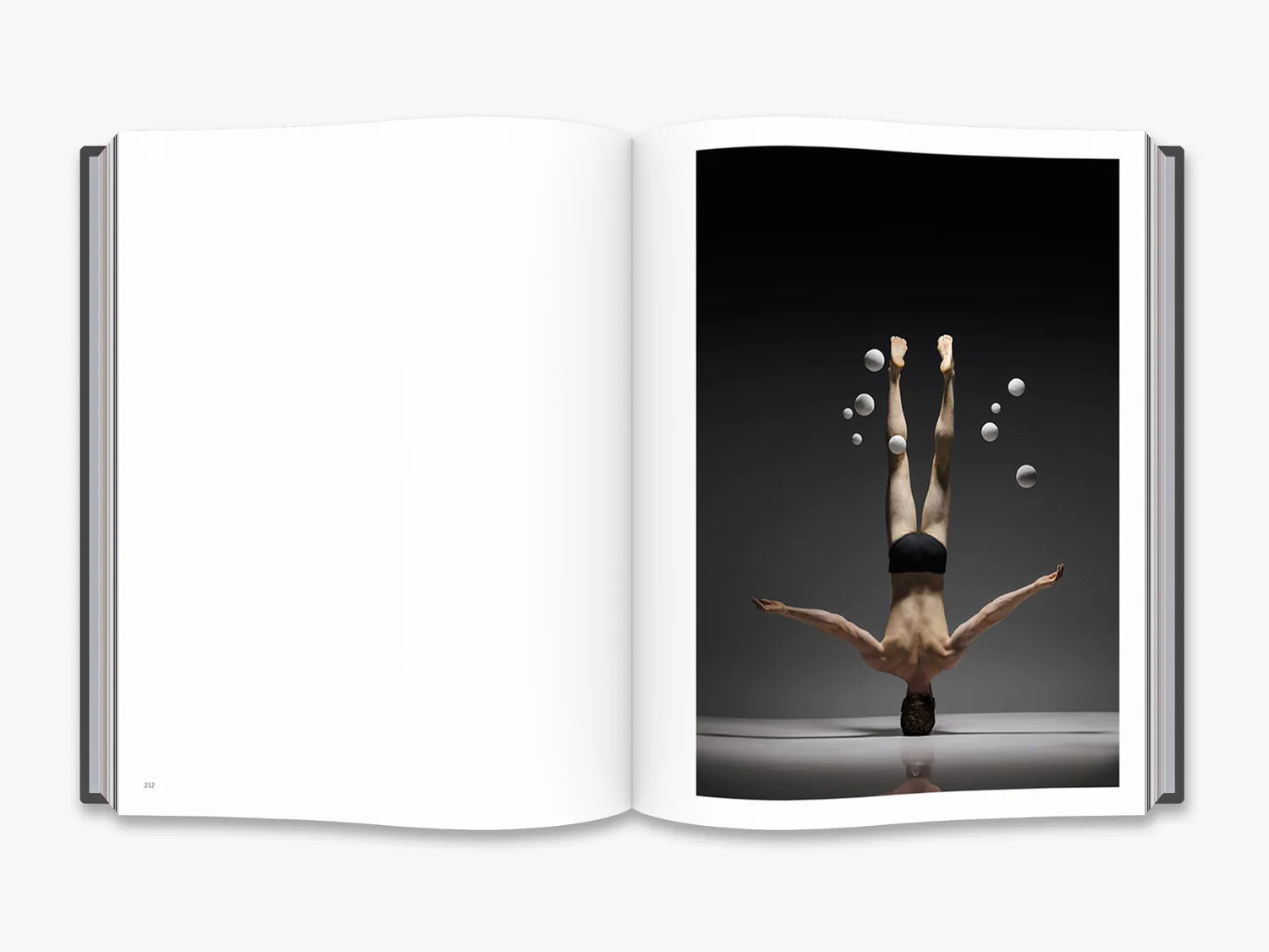 Thames & Hudson Lois Greenfield fotobog dans farve