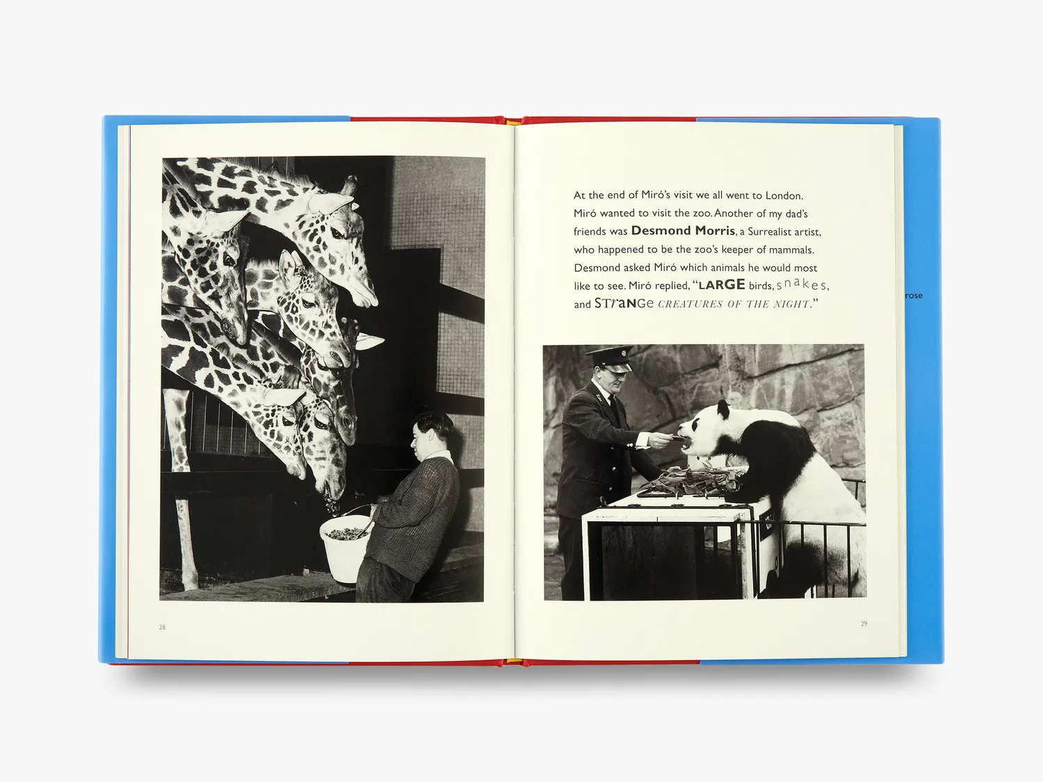 Thames & Hudson Miró's Magic Animals kunstbog illustreret