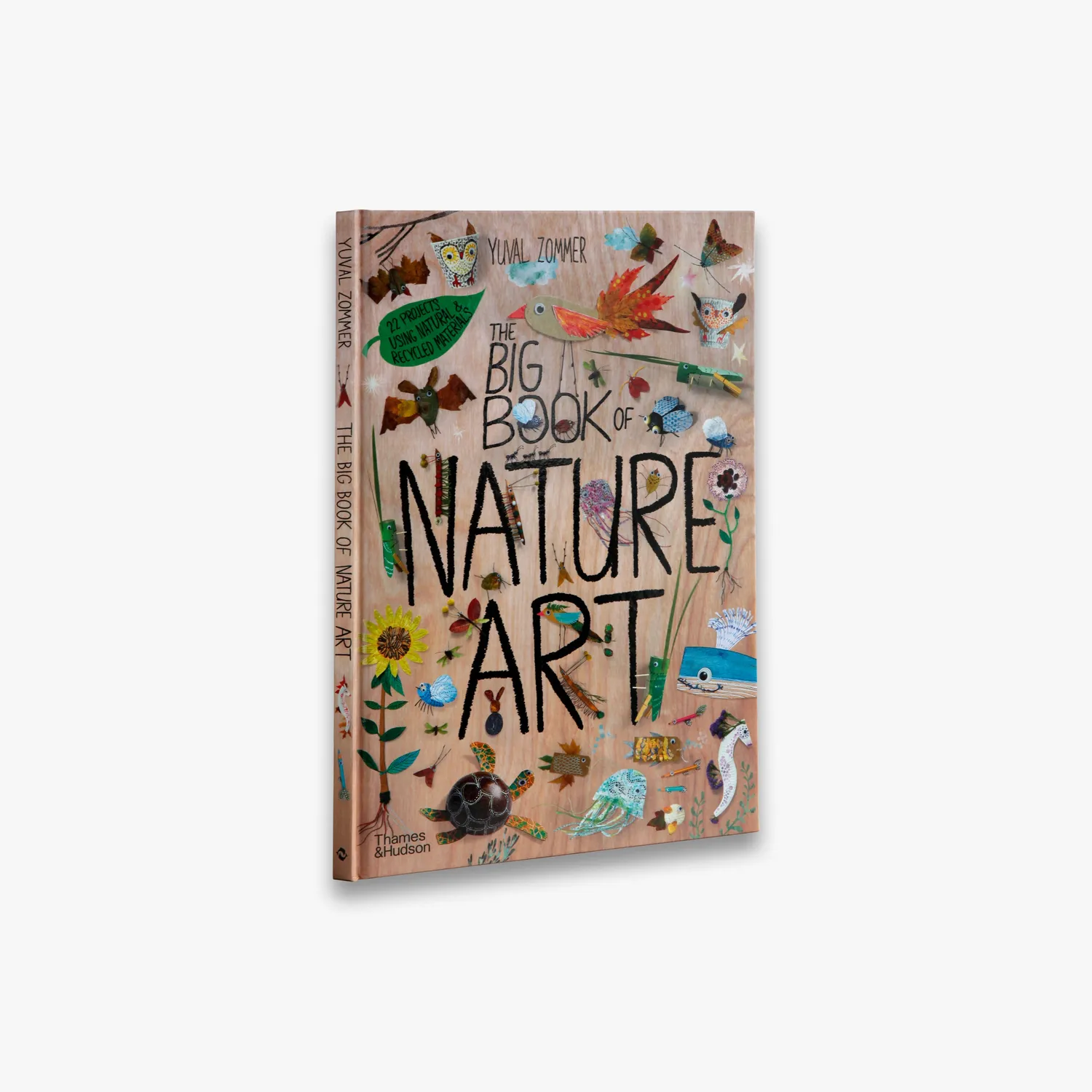 Thames & Hudson The Big Book of Nature Art bog illustreret