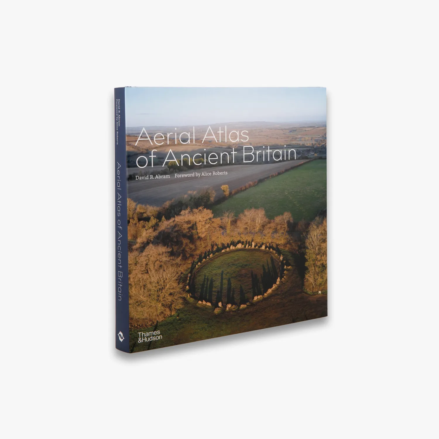 Thames & Hudson Aerial Atlas of Ancient Britain fotobog