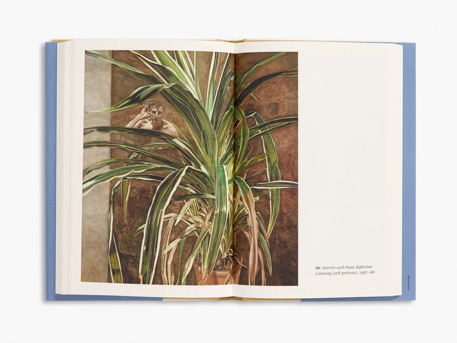 Thames & Hudson Lucian Freud bog monografi illustreret