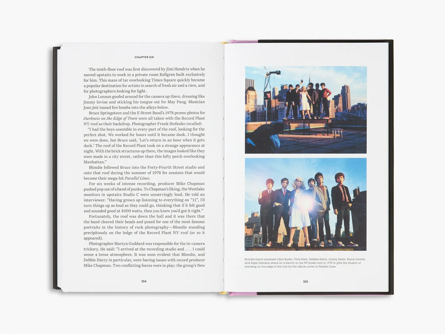 Thames & Hudson Buzz Me In bog Record Plant rockhistorie