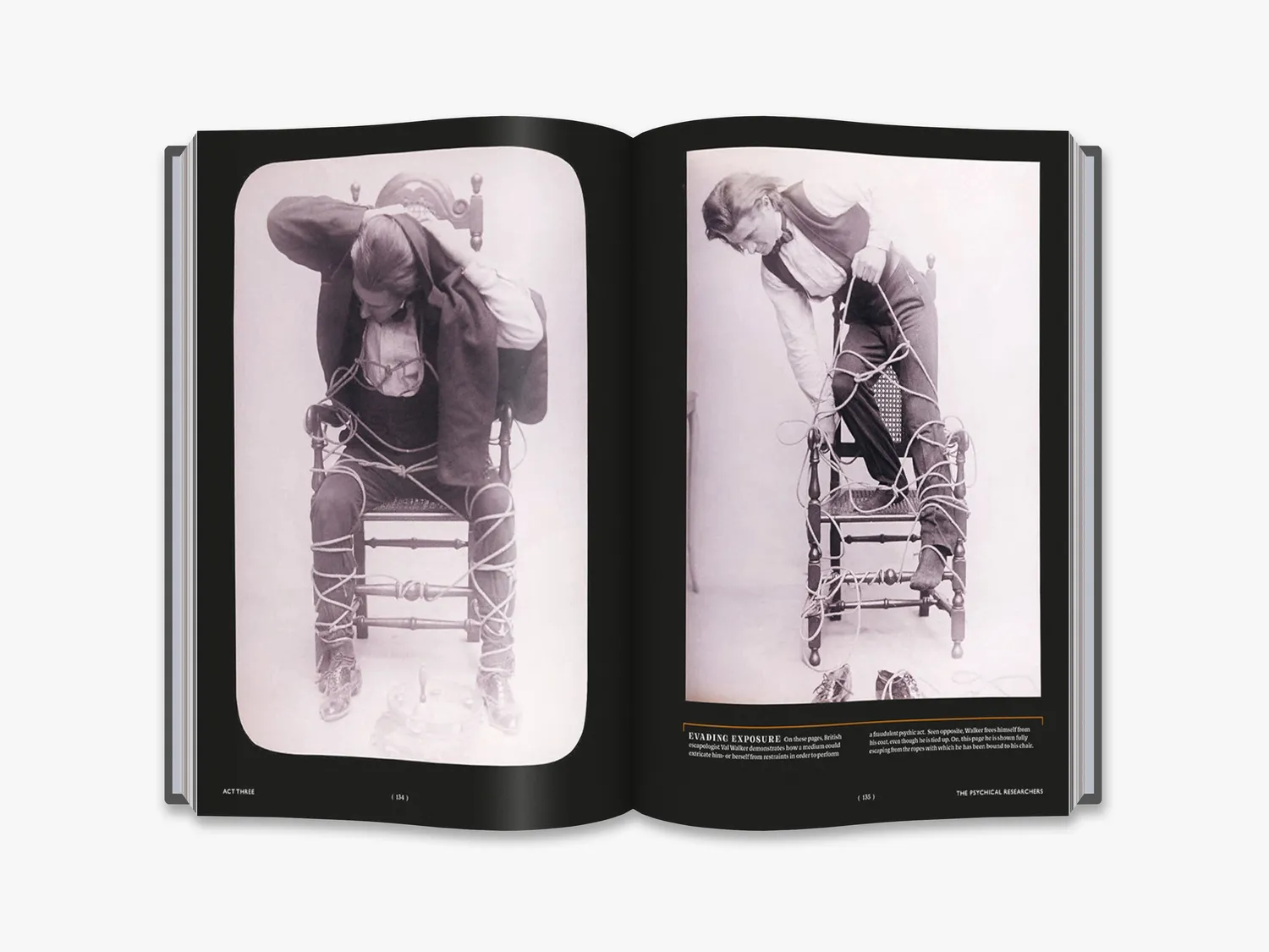 Thames & Hudson The Spectacle of Illusion bog magi