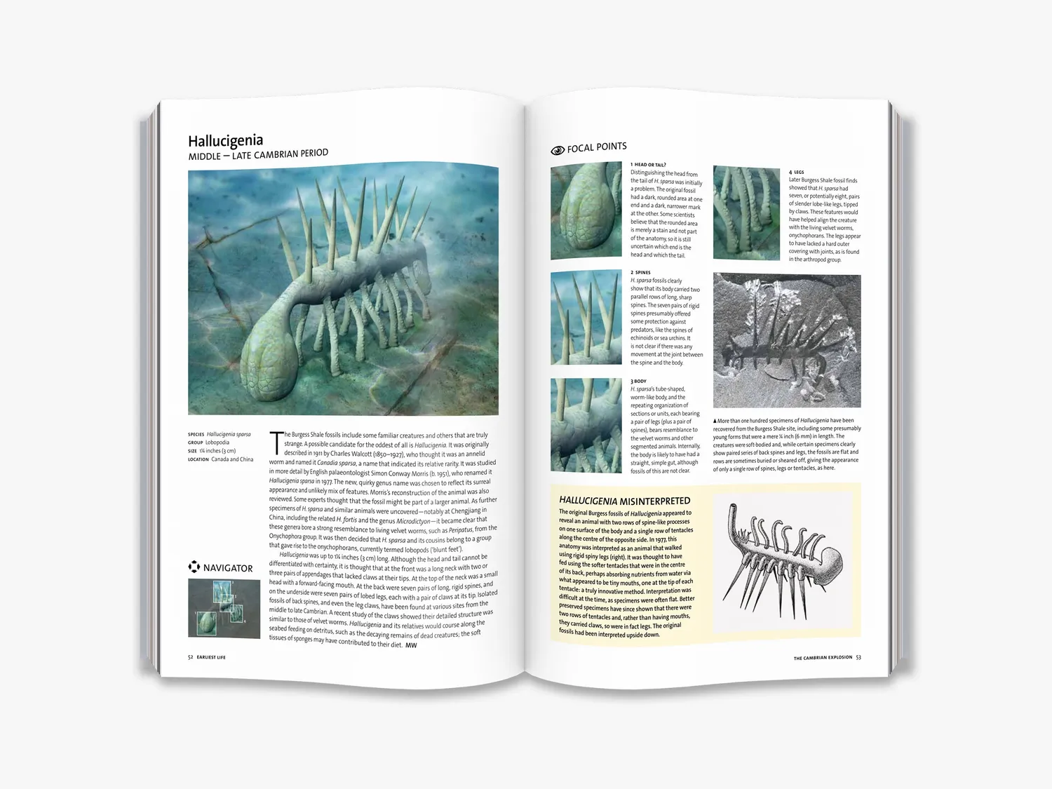 Thames & Hudson Evolution fagbog hele historien illustreret