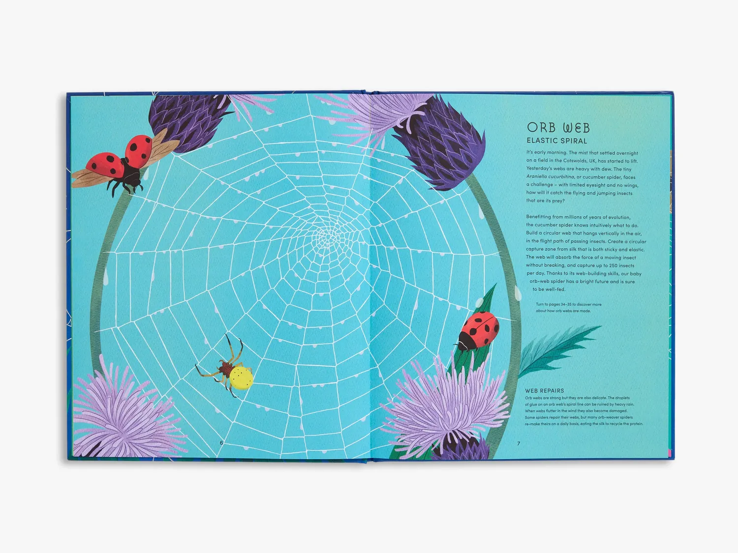 Thames & Hudson Secret World of Spider Webs fagbog edderkop