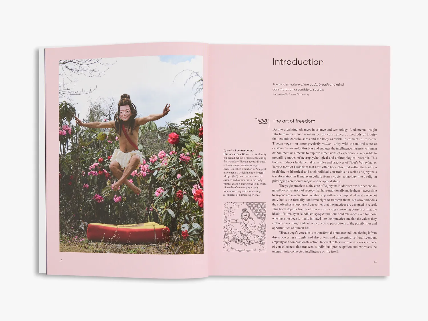 Thames & Hudson Tibetan Yoga Ian Baker bog