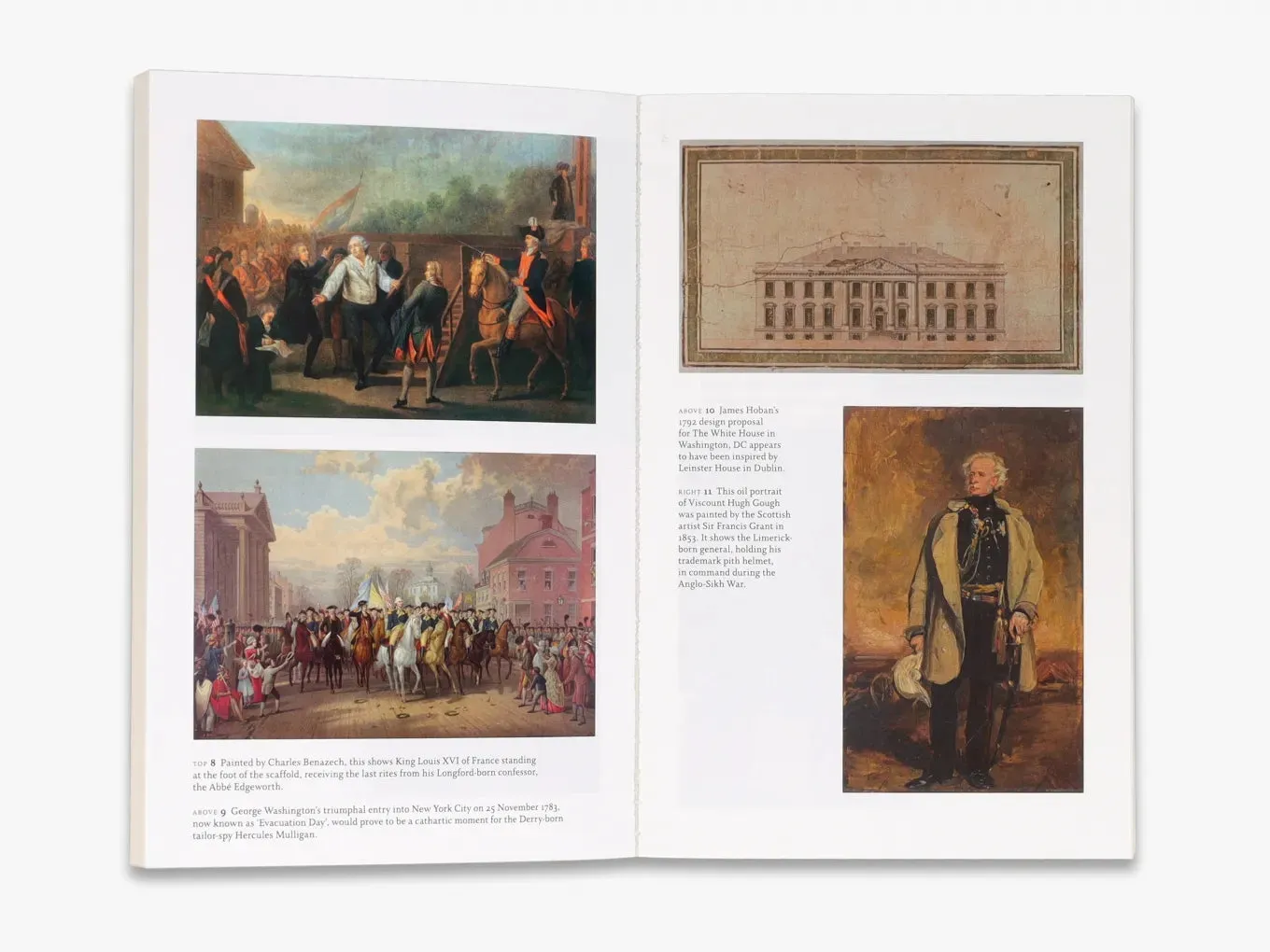 Thames & Hudson The Irish bog – illustreret historiebog