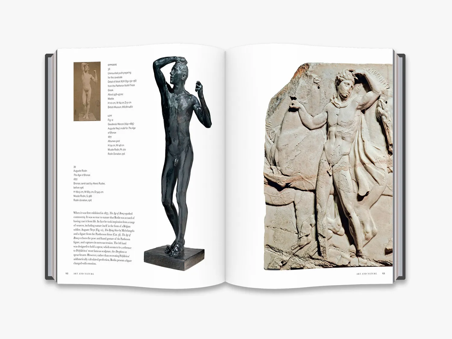 Thames & Hudson Rodin and the art of ancient Greece bog