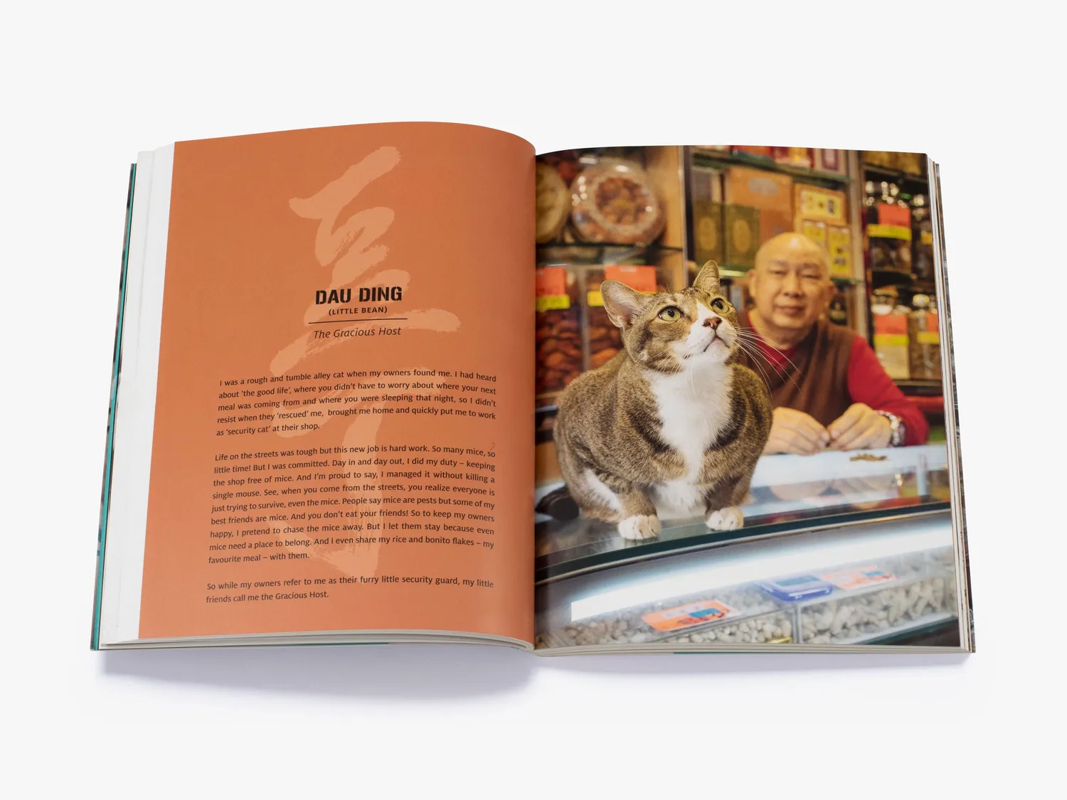 Thames & Hudson Shop Cats of Hong Kong fotobog