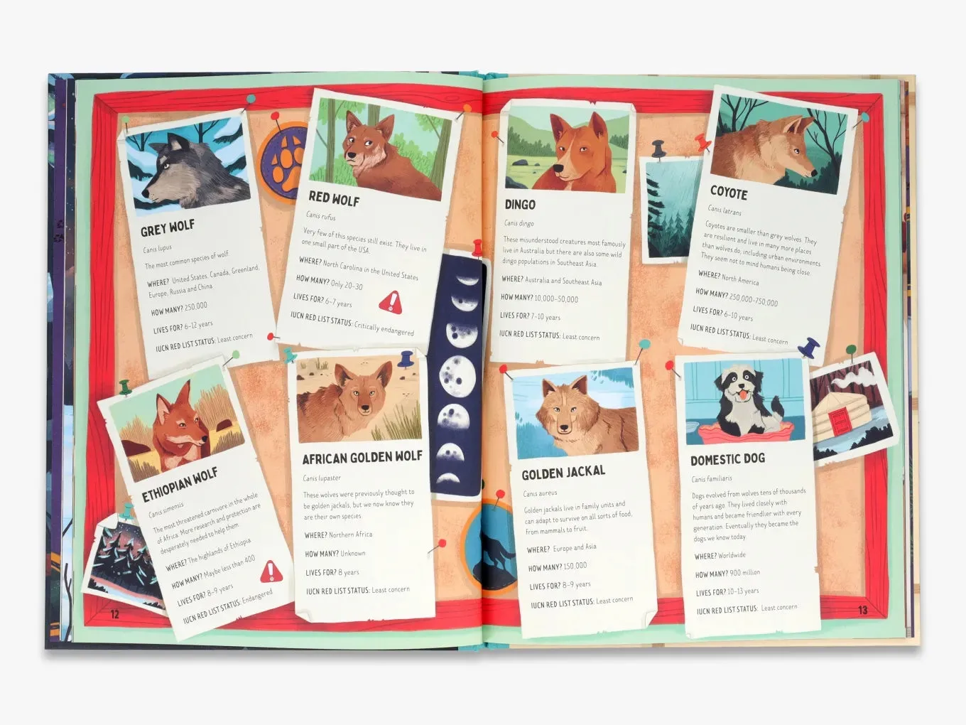 Thames & Hudson Go Wild Are Wolves Afraid of the Dark børnebog