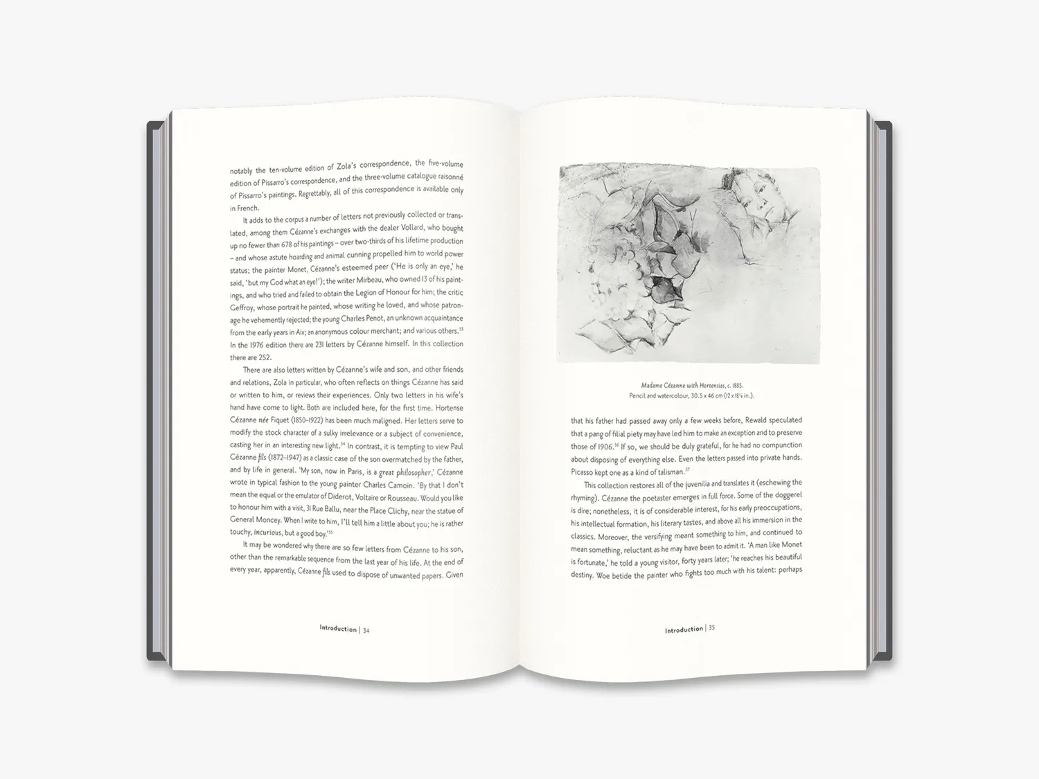 Thames & Hudson Letters of Paul Cézanne bog breve