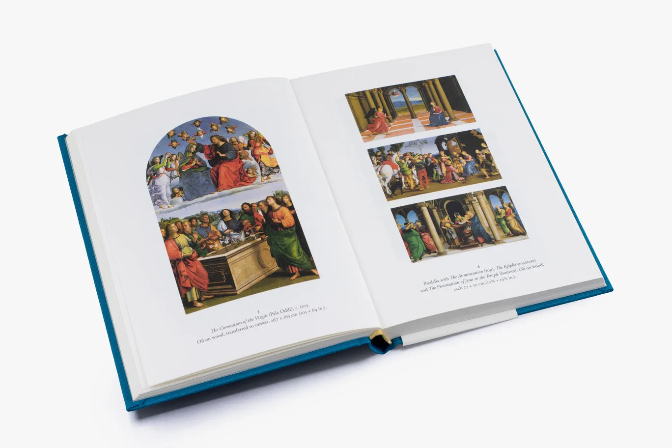 Thames & Hudson The Life of Raphael bog illustreret