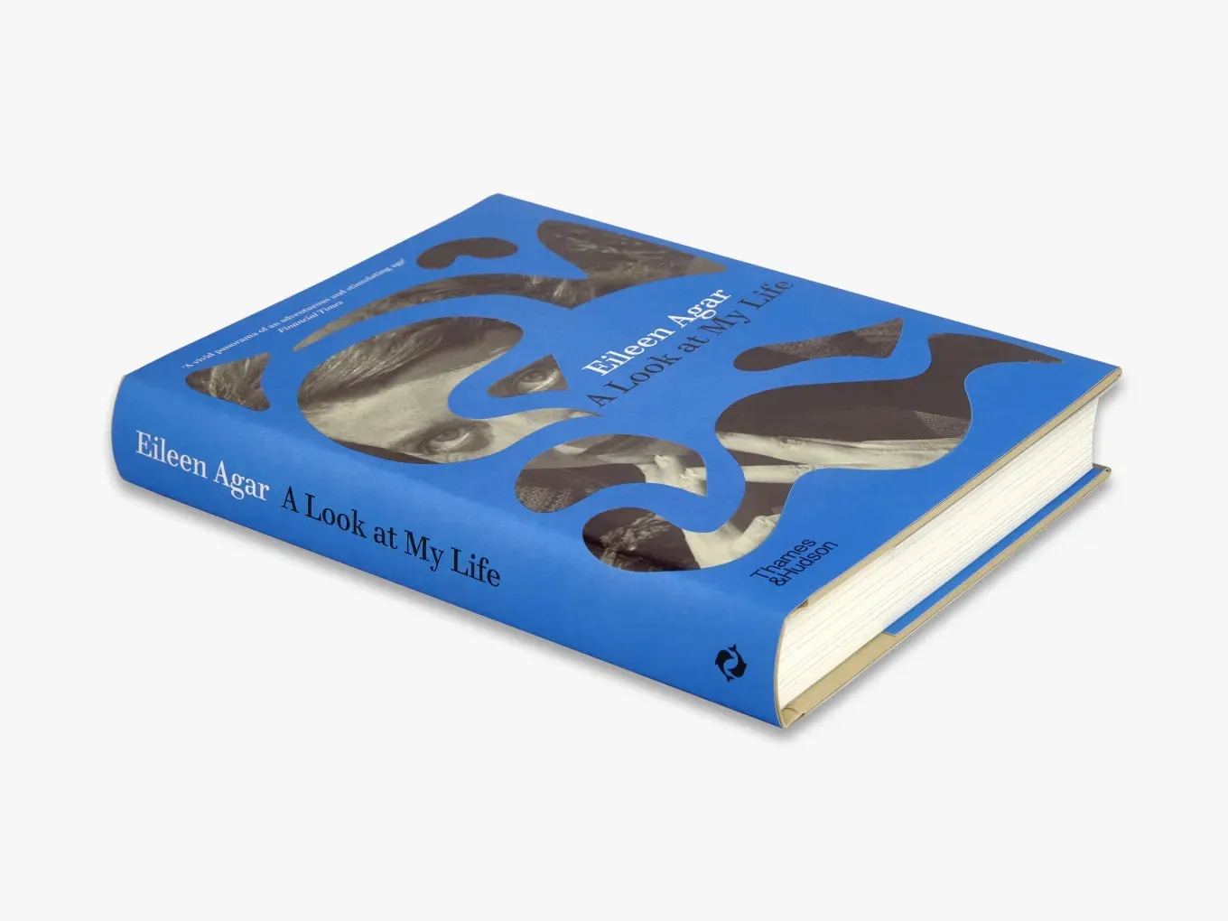 Thames & Hudson A Look at My Life bog Eileen Agar erindringer