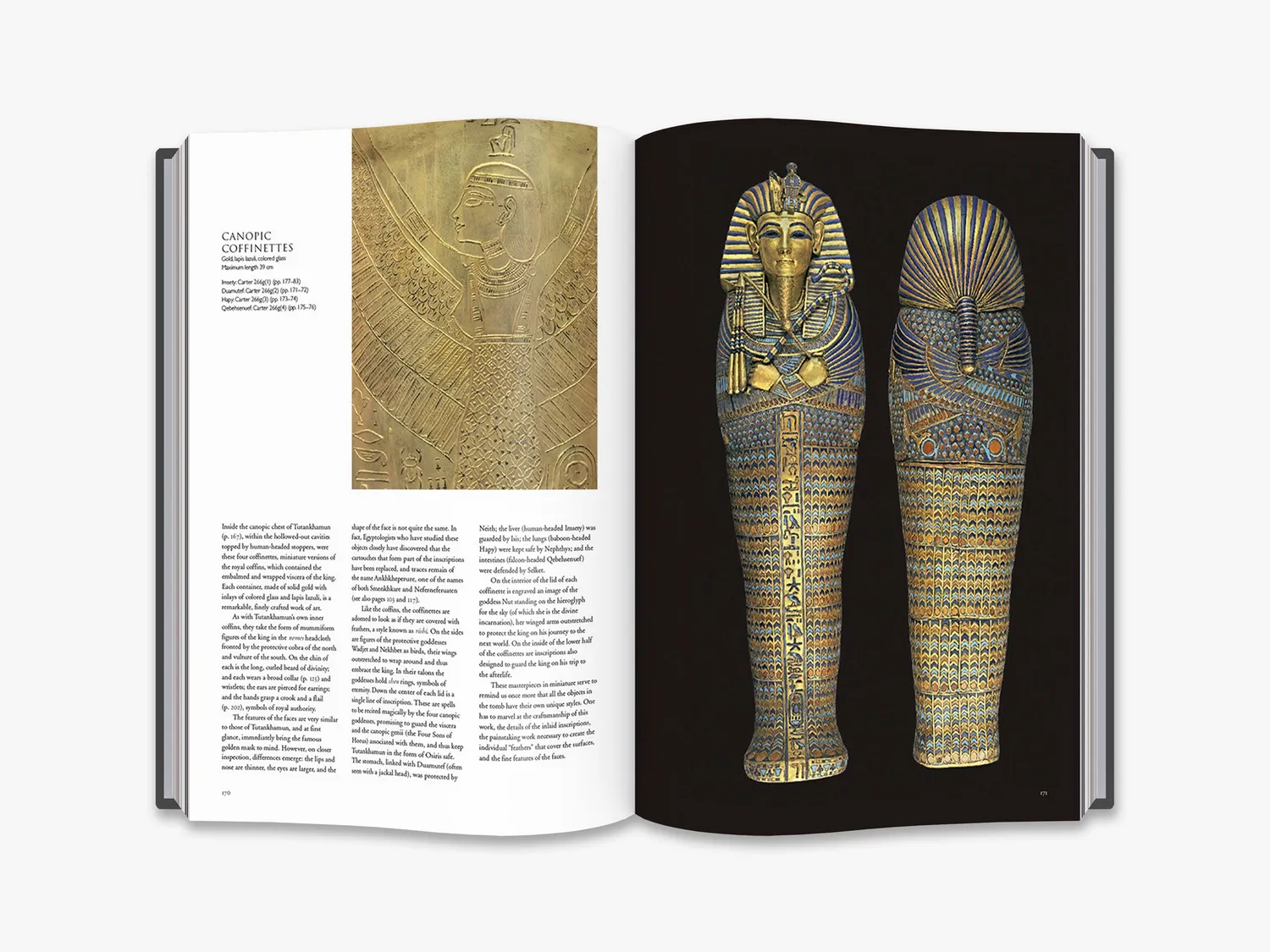 Thames & Hudson Tutankhamun bog om gravskat Egypten