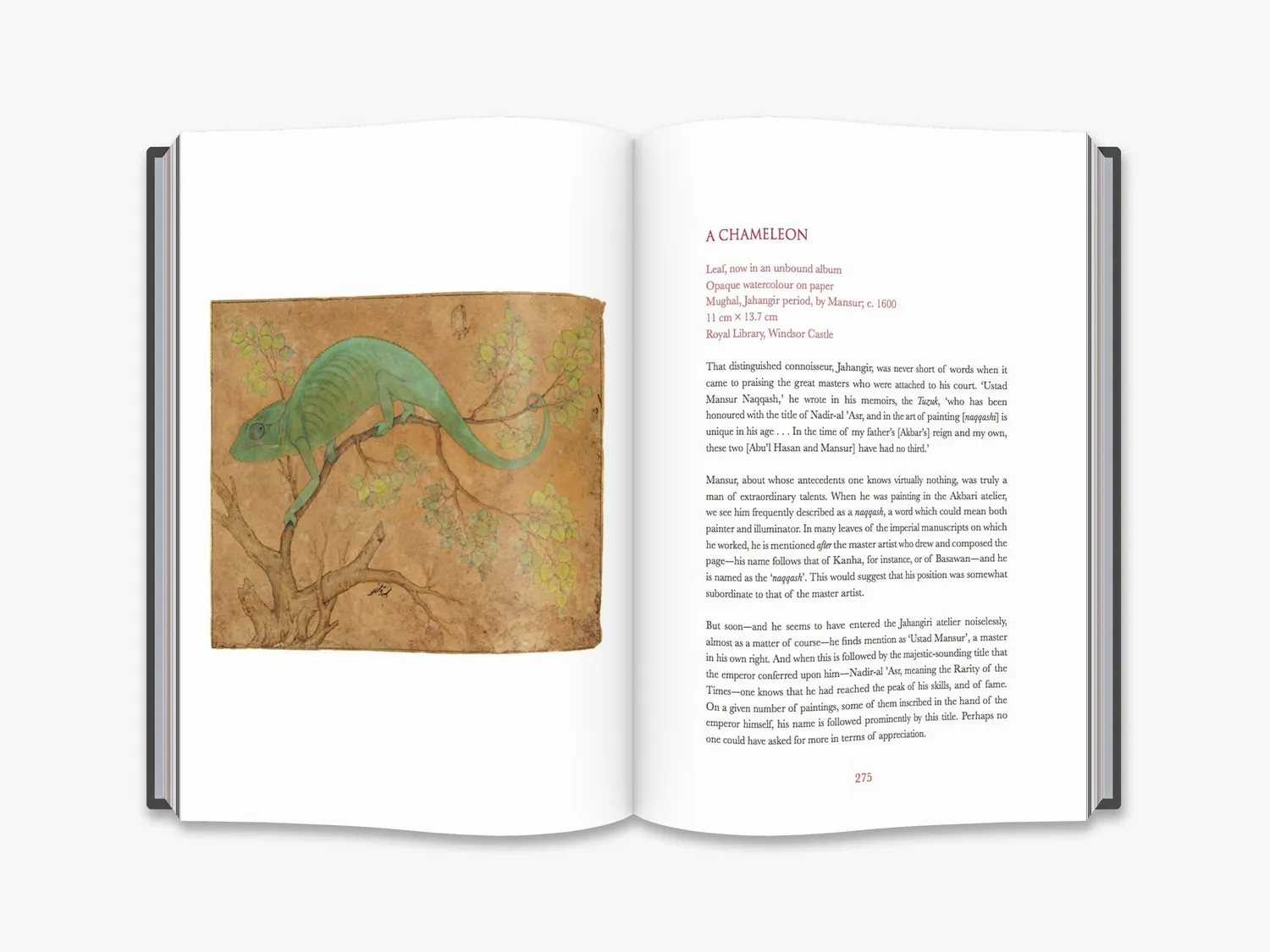 Thames & Hudson The Spirit of Indian Painting fagbog