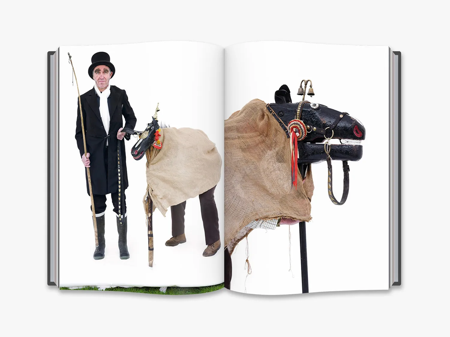 Thames & Hudson Bourne Arcadia Britannica bog folklore foto
