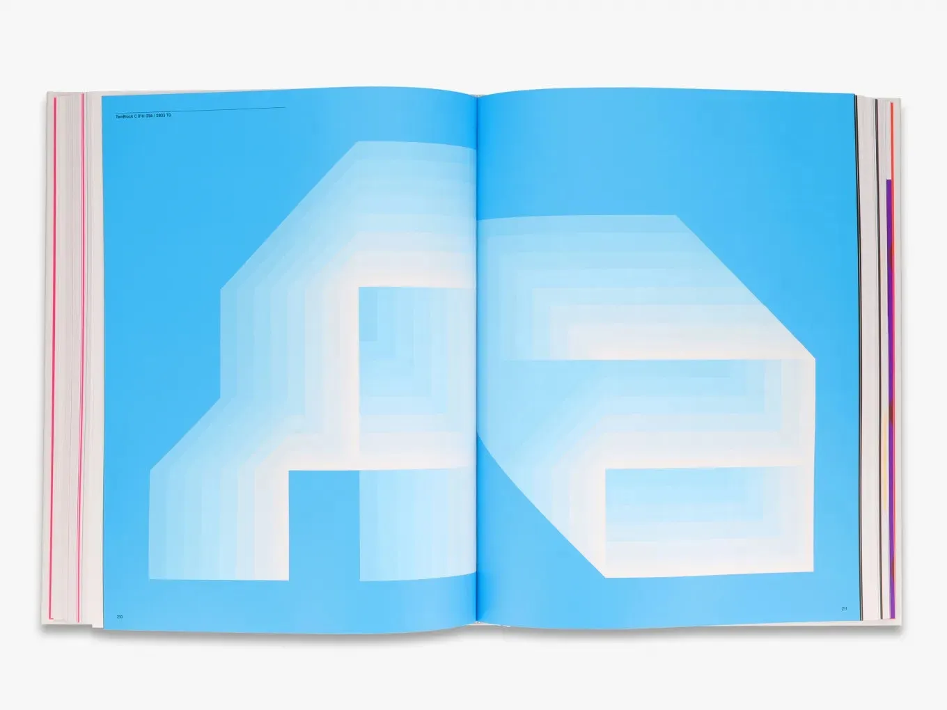 Thames & Hudson System Process Form bog typografi neon