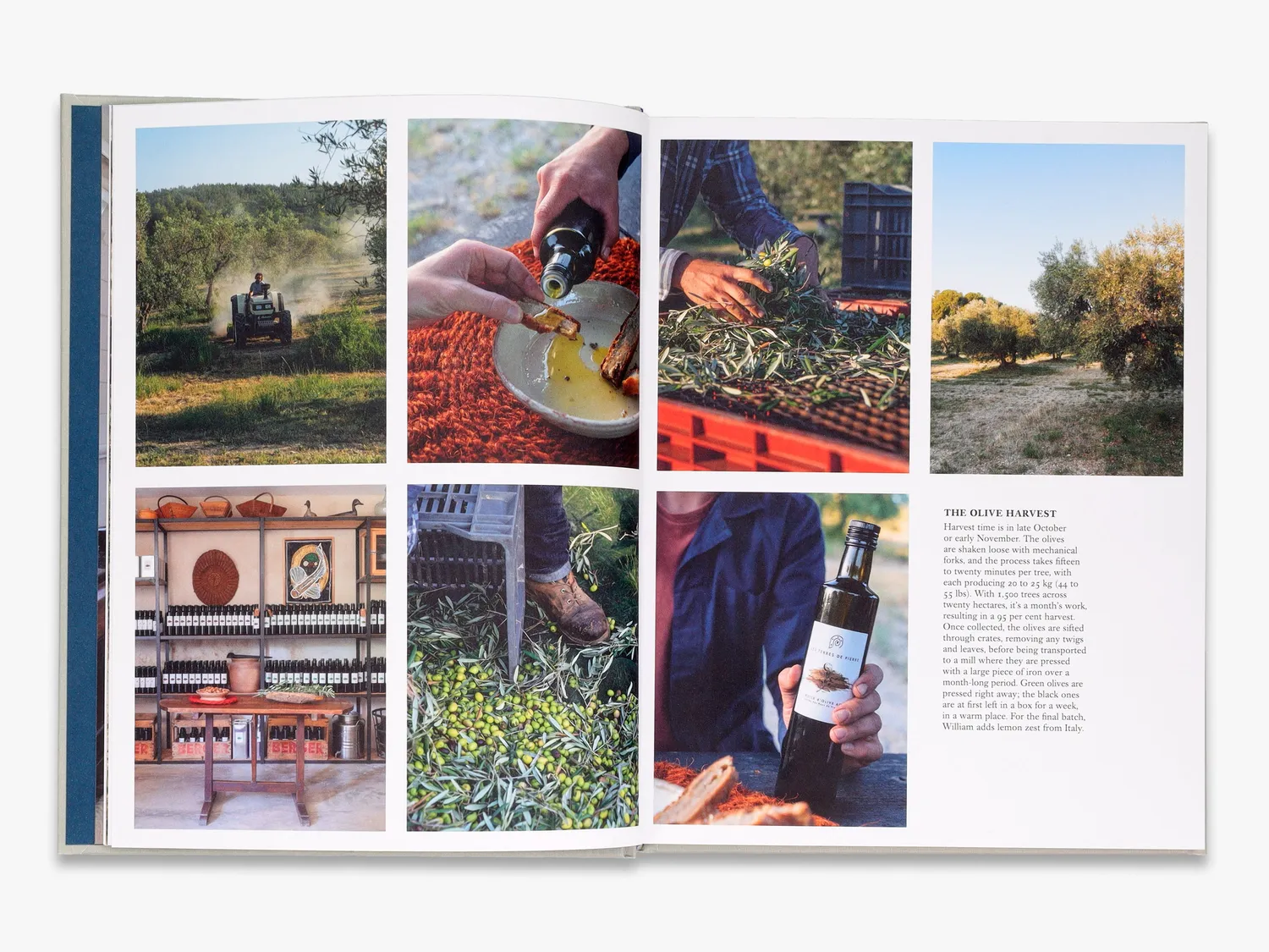 Thames & Hudson Living Wild boligbog off-grid illustreret
