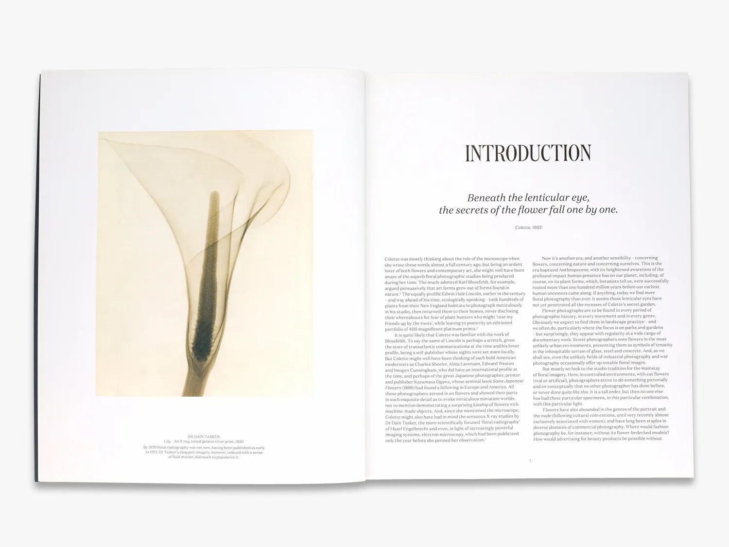Thames & Hudson Flora Photographica fotobog blomster illustreret