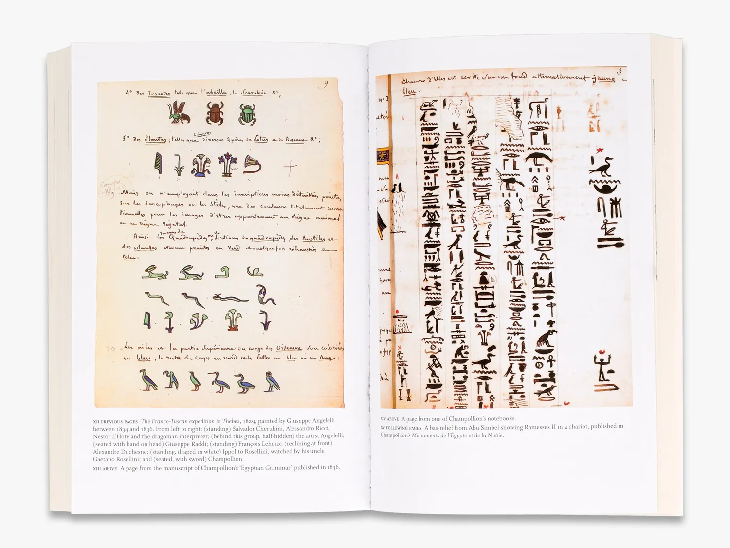 Thames & Hudson Cracking the Egyptian Code fagbog hieroglyffer
