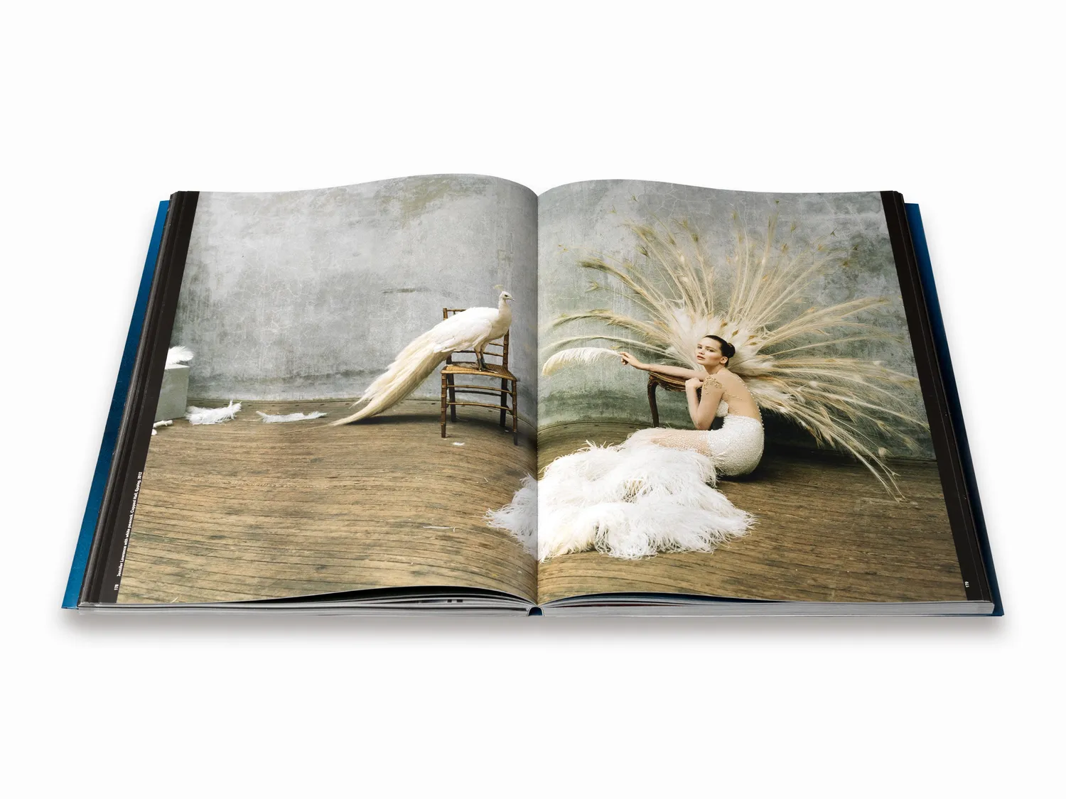 Thames & Hudson Tim Walker Shoot for the Moon fotobog mode