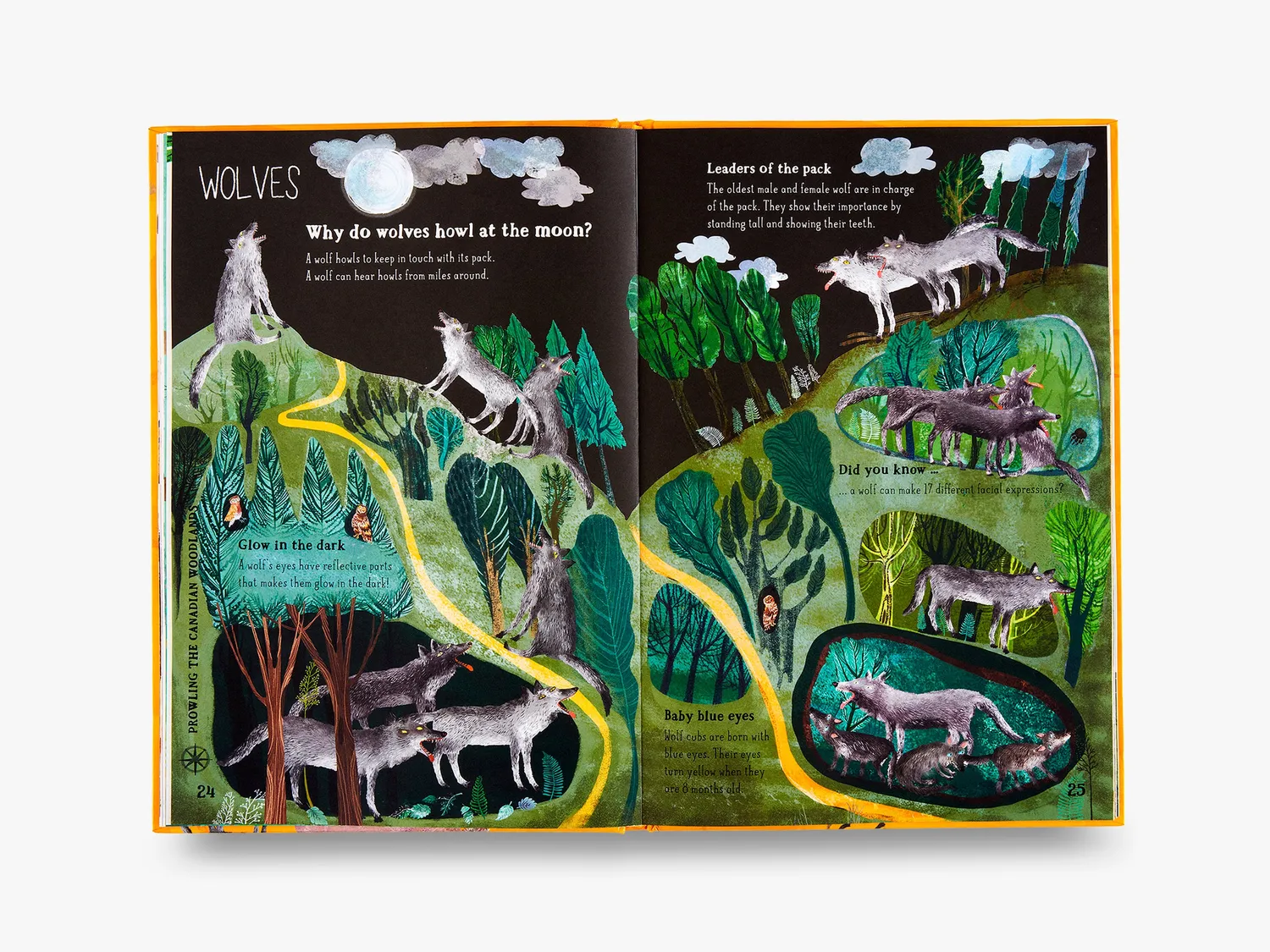 Thames & Hudson The Big Book of Beasts børnebog dyr