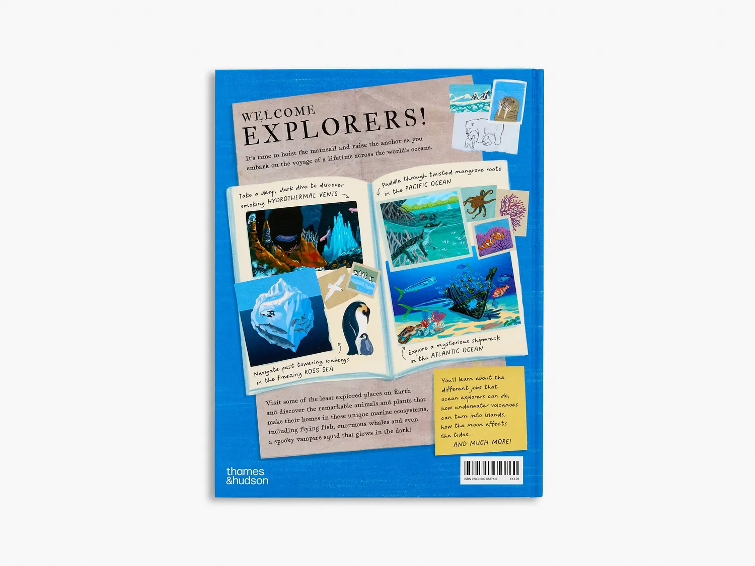 Thames & Hudson There's an Ocean in This Book børnebog om havet