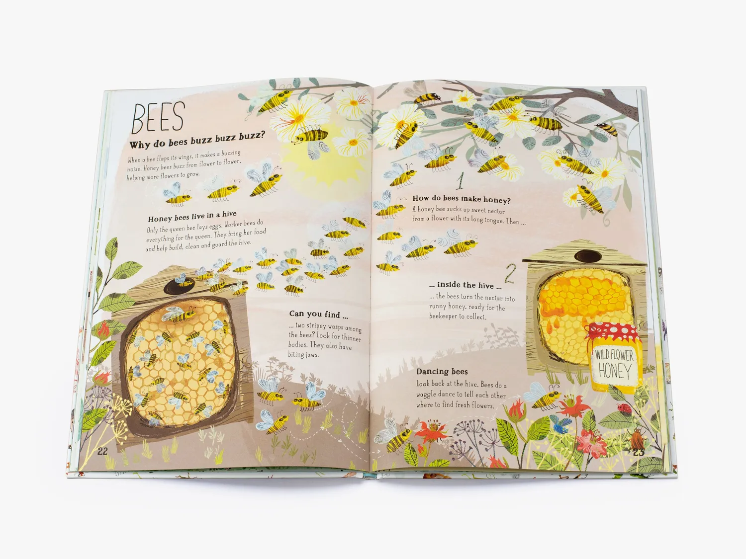 Thames & Hudson The Big Book of Bugs børnebog