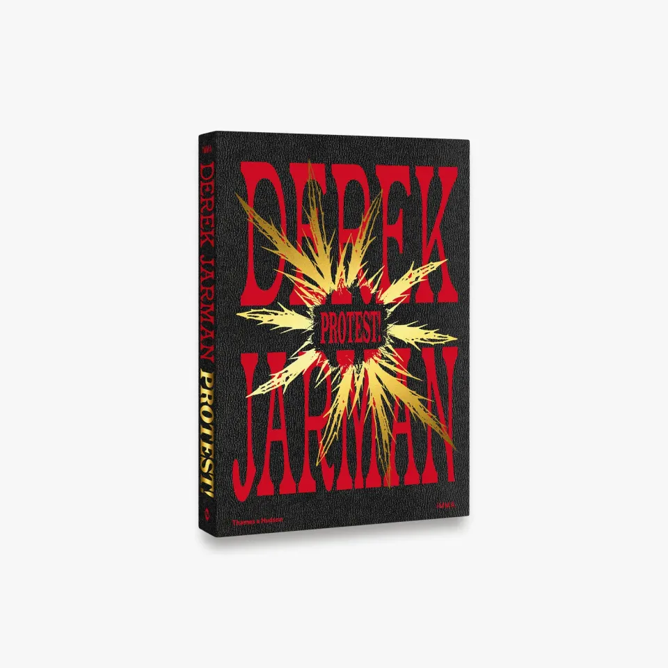 Thames & Hudson Derek Jarman: Protest! kunstbog