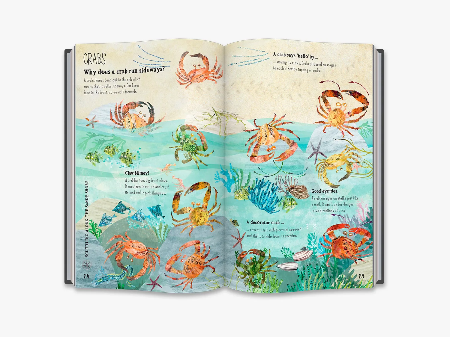 Thames & Hudson The Big Book of the Blue børnebog havdyr