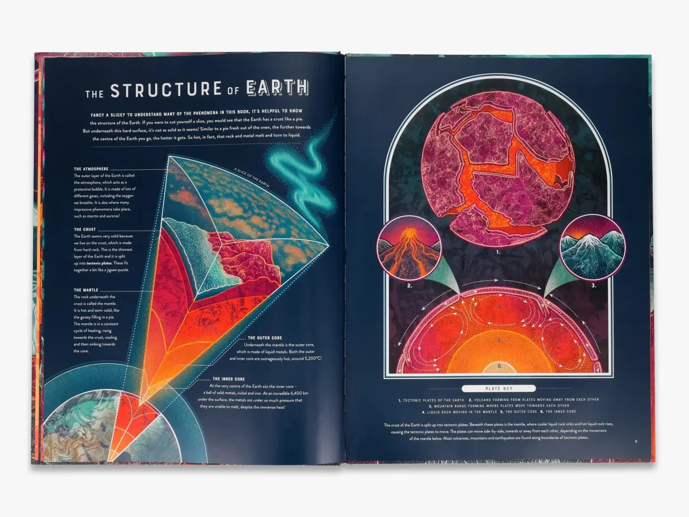 Thames & Hudson Wild Wonders Bang bog illustreret natur