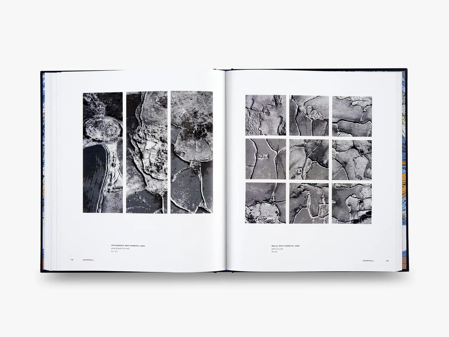 Thames & Hudson Tracks Walking Ancient Landscapes Limited Edition bog