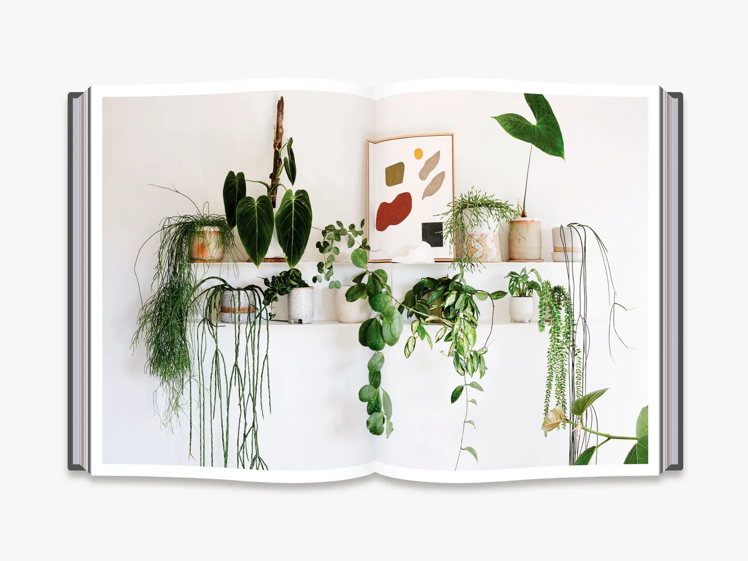 Thames & Hudson Nature Style indretningsbog grønne hjem