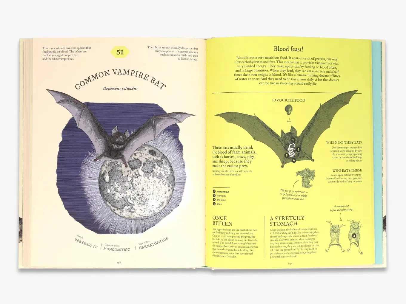 Thames & Hudson Eatopedia Aina Bestard børnebog fordøjelse