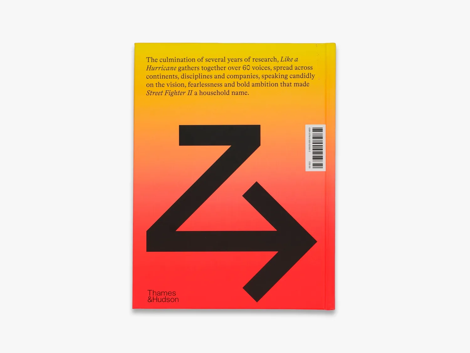 Thames & Hudson Like a Hurricane bog – Street Fighter II