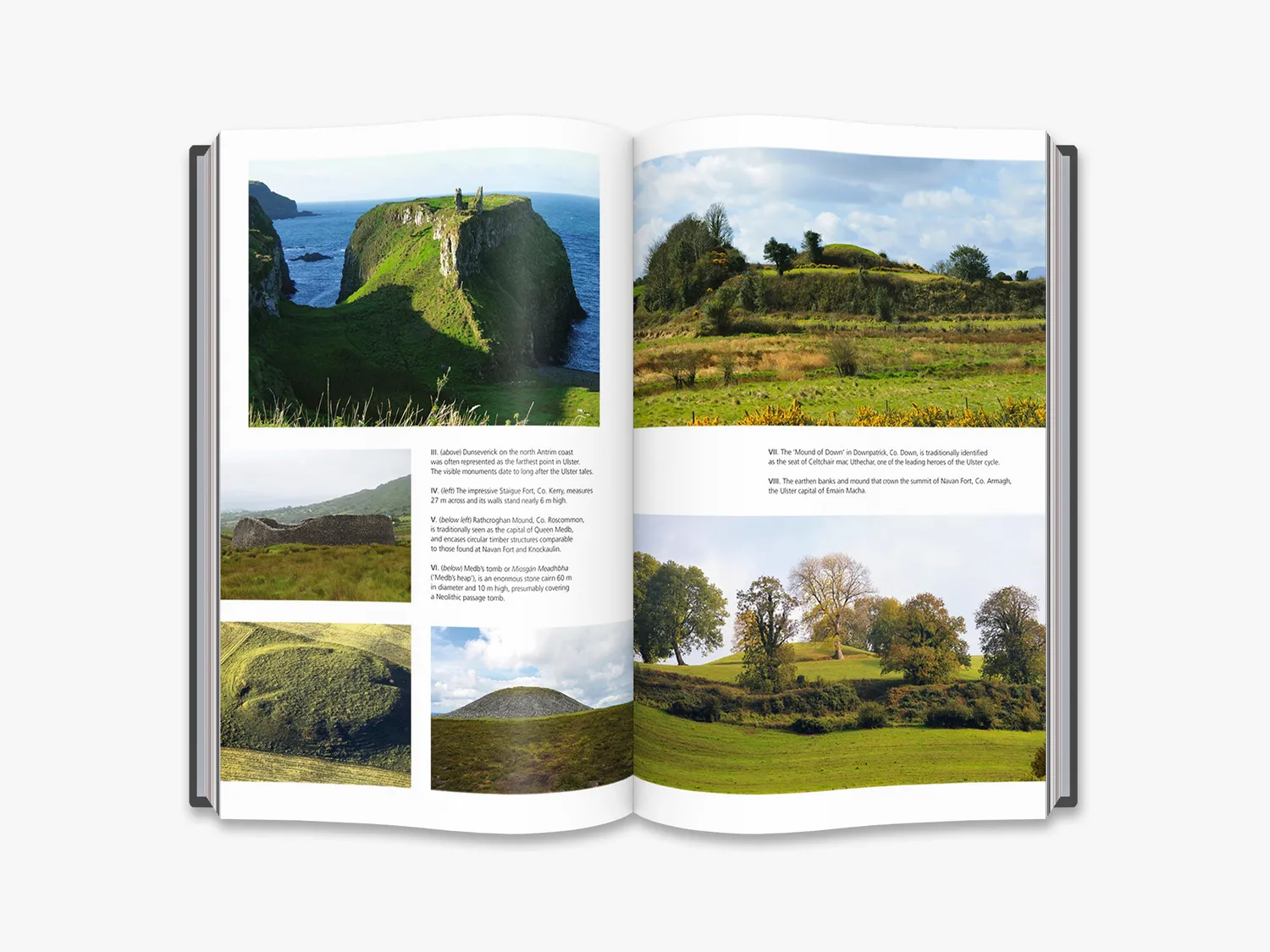 Thames & Hudson In Search of the Irish Dreamtime bog om mytologi