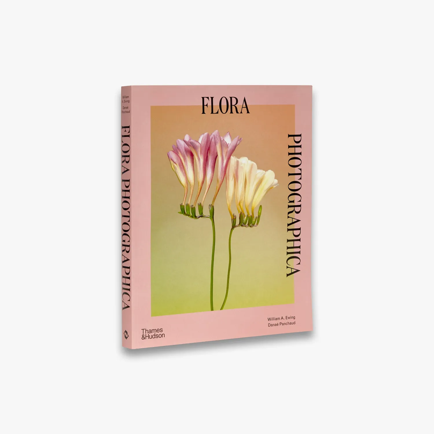 Thames & Hudson Flora Photographica fotobog blomster illustreret