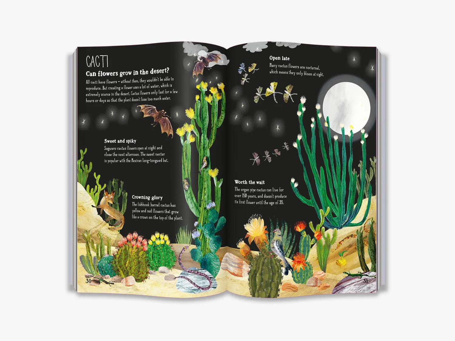 Thames & Hudson The Big Book of Blooms børnebog blomster