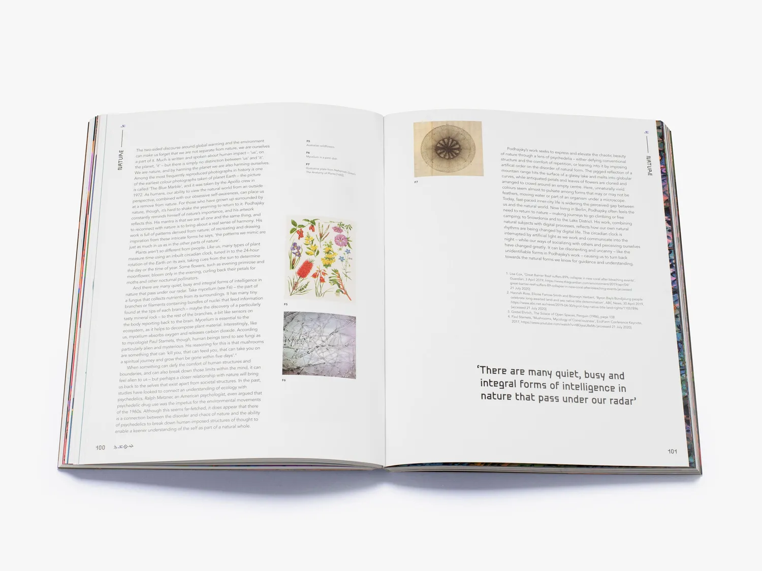 Thames & Hudson New Psychedelia bog Podhajsky design