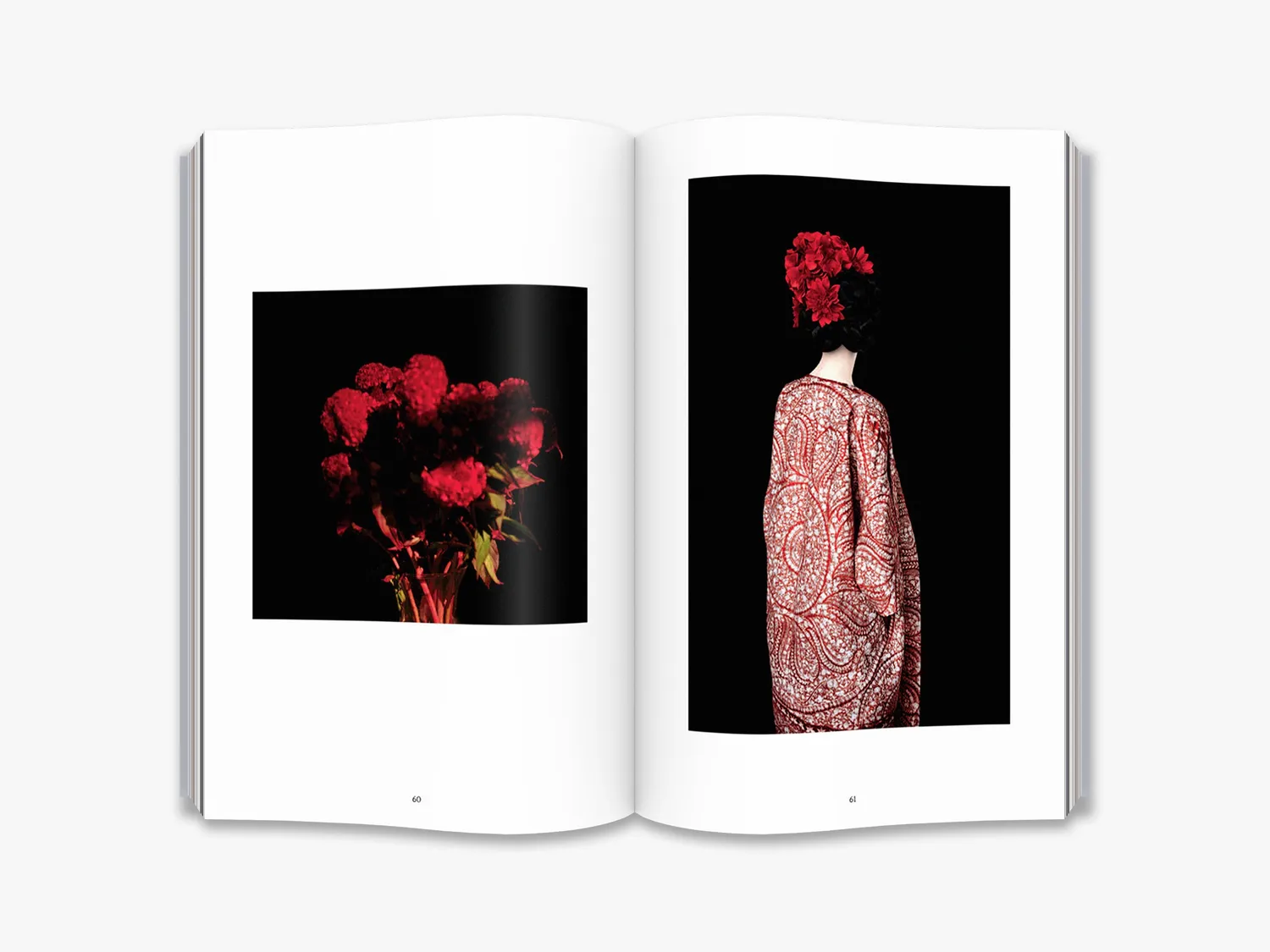 Thames & Hudson Erik Madigan Heck Old Future fotobog illustreret
