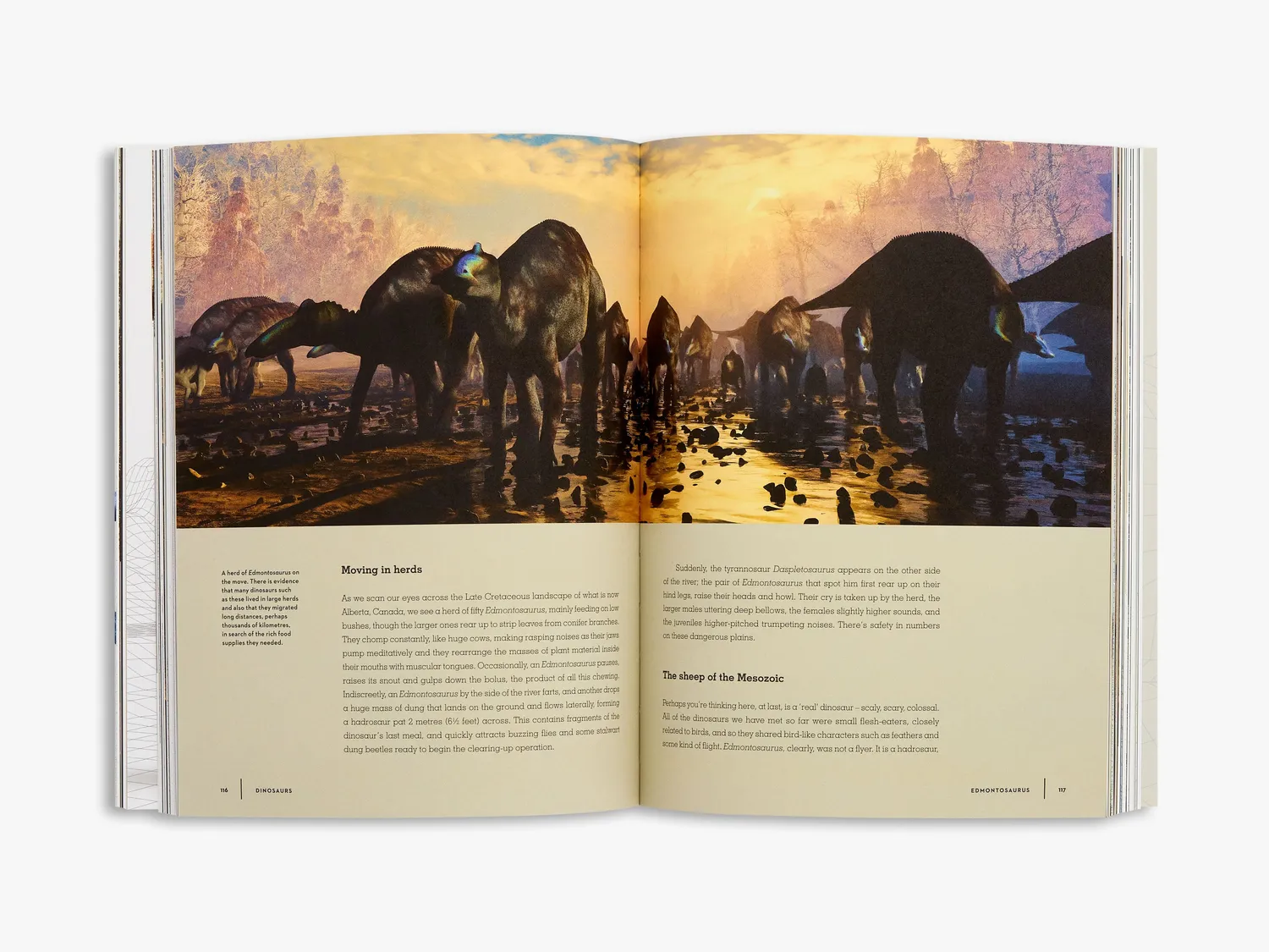 Thames & Hudson Dinosaurs bog dinosaurer farver