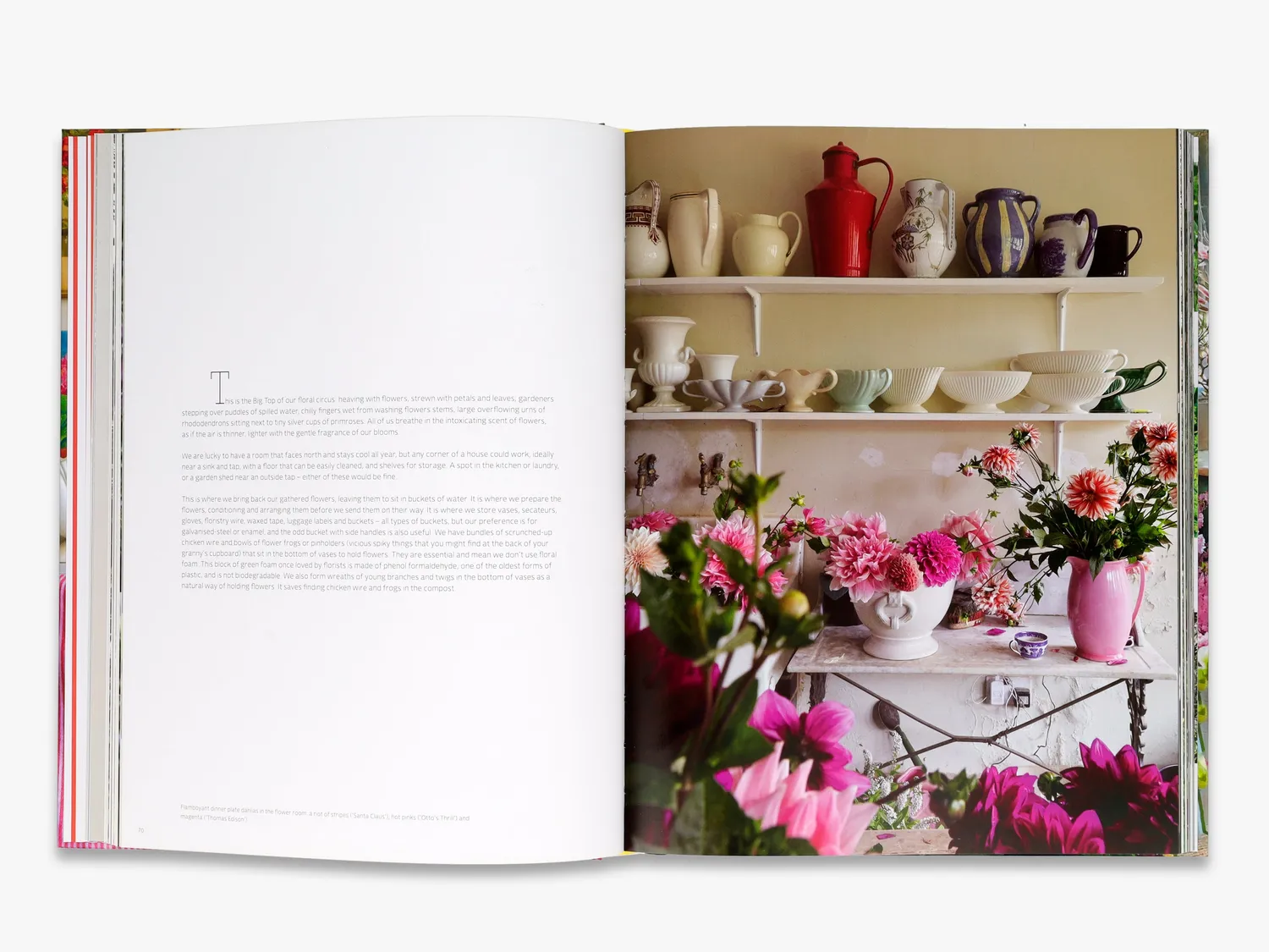 Thames & Hudson The Land Gardeners havebog