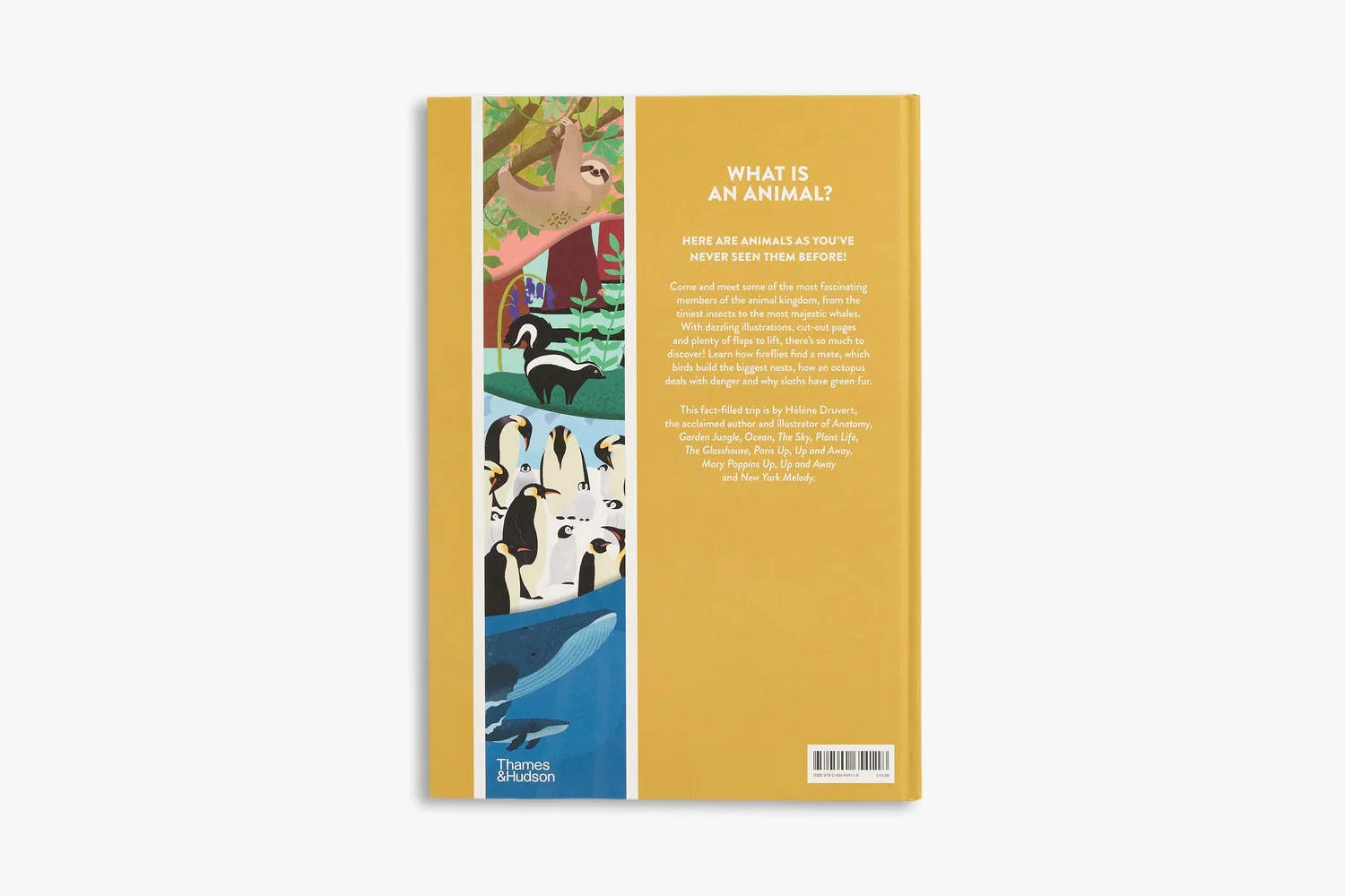 Thames & Hudson Animal bog Hélène Druvert illustreret