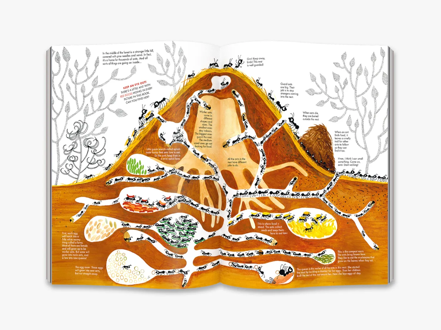Thames & Hudson 1001 Ants billedbog myrer