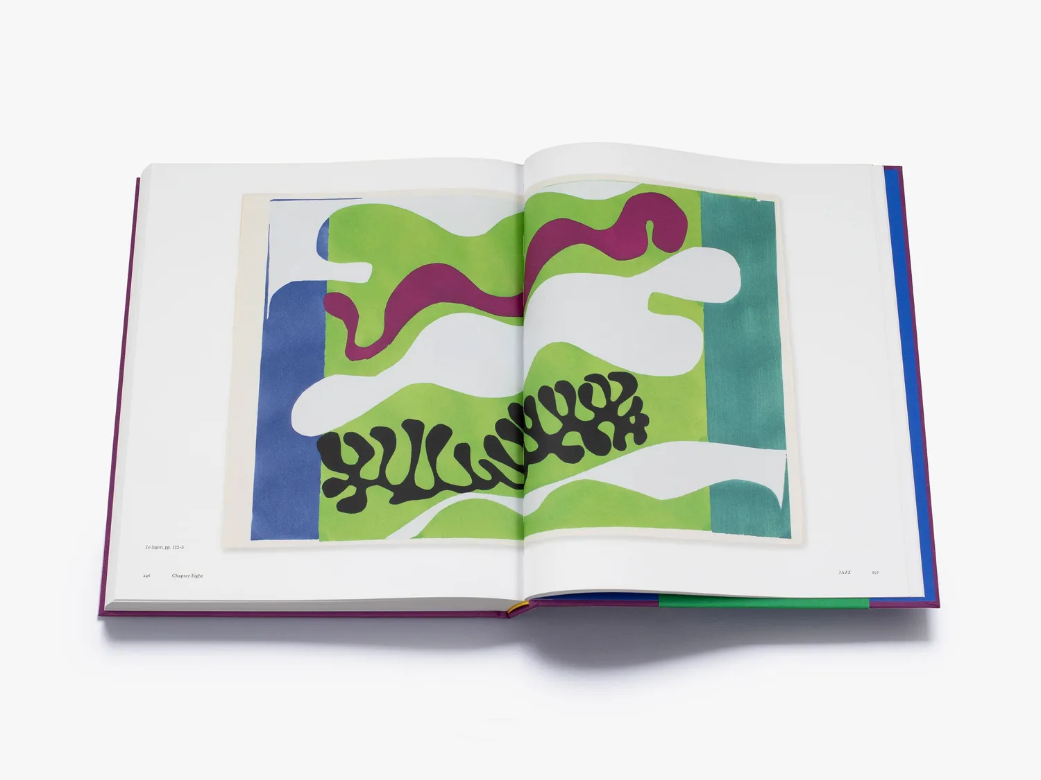 Thames & Hudson Matisse: The Books fagbog indbundet kunstnerbøger