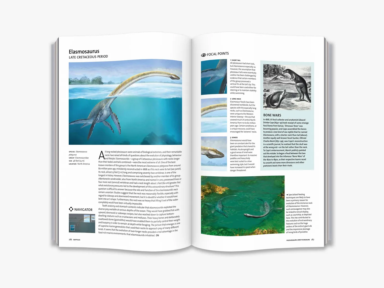 Thames & Hudson Evolution fagbog hele historien illustreret